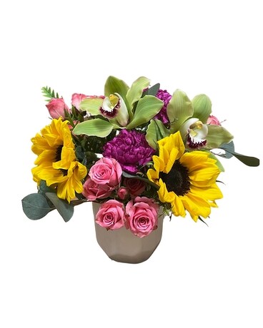 As Shown size, 7 inches height and 9 inches wide.