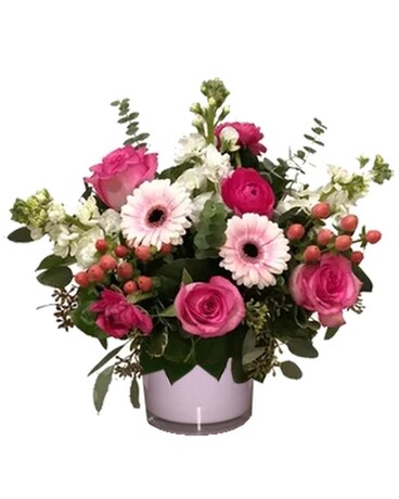 Deluxe - As Shown size, inches height and inches wide.