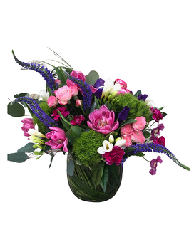 Deluxe- As Shown size, inches height and inches wide.