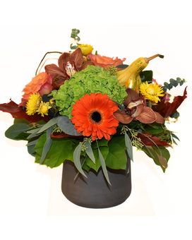 Deluxe- As Shown size, inches height and inches wide.
