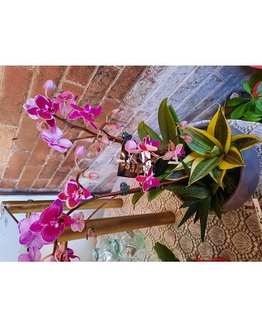Beautiful size, inches height and inches wide.