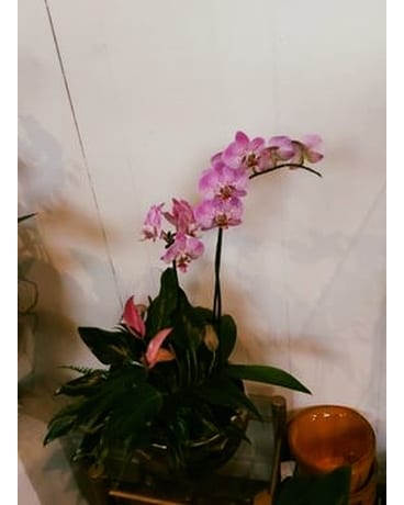 Beautiful size, inches height and inches wide.