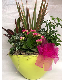 Deluxe -Ceramic Pot size, inches height and inches wide.
