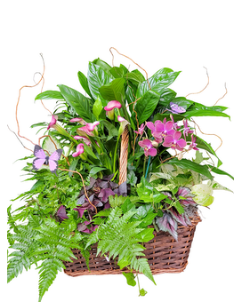 Custom Garden size, inches height and inches wide.