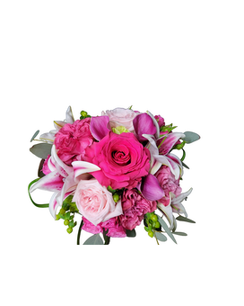 Shades of Pink size, inches height and inches wide.