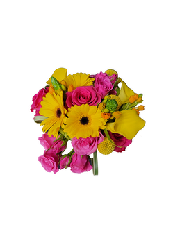 Hot Pink - Yellow size, inches height and inches wide.