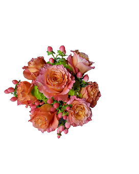 Orange Pink Garden Roses size, inches height and inches wide.