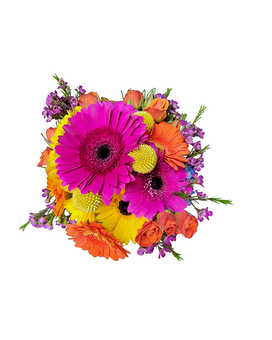 Hot Pinks-Oranges-Yellows size, inches height and inches wide.