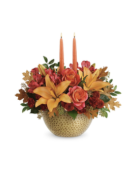 Premium size, 12 and a half inches height and 16 and a half inches wide.