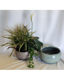 Standard size, 19 inches height and 20 inches wide.
