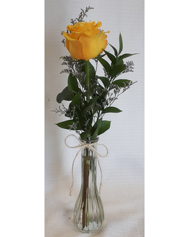 Standard size, 17 inches height and 5 inches wide.