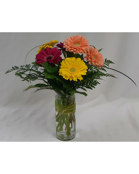 Premium size, inches height and inches wide.
