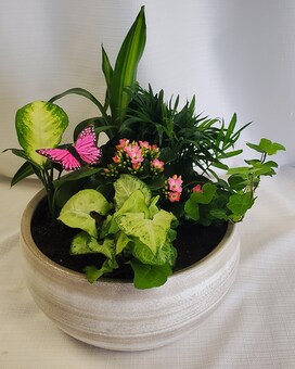 Standard size, 16 inches height and 17 inches wide.