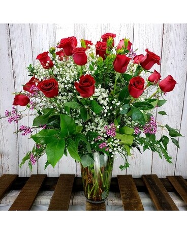 Red Two Dozen size, inches height and inches wide.