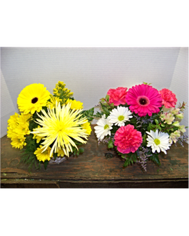 As Shown size, inches height and inches wide.