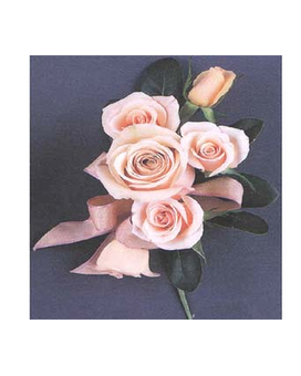 Standard size, inches height and inches wide.