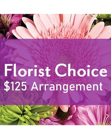 $125 Arrangement size, inches height and inches wide.