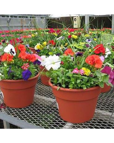 12" Patio Planter size, inches height and inches wide.