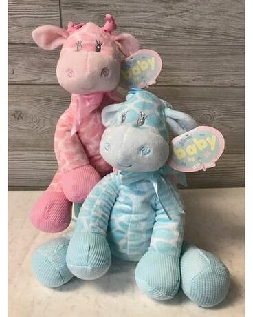 Jingles Pink size, inches height and inches wide.