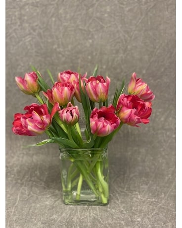 Pink size, inches height and inches wide.