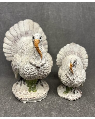 Small Turkey size, inches height and inches wide.