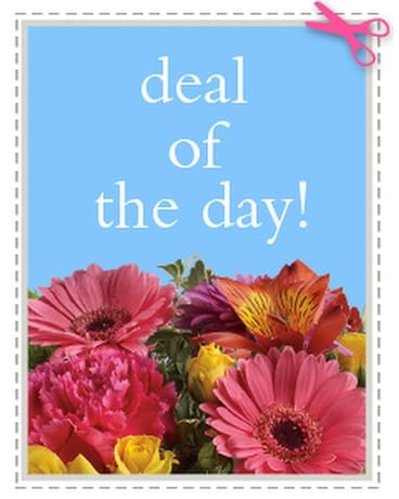 Deal #3 size, inches height and inches wide.