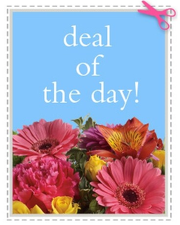 Deal #5 size, inches height and inches wide.
