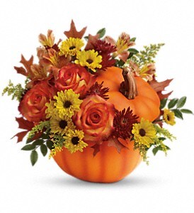 Deluxe size, 13 inches height and 14 and a half inches wide.