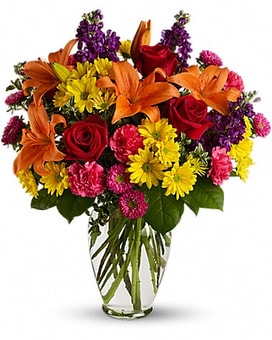 Standard size, 23.5 inches height and 20.5 inches wide.