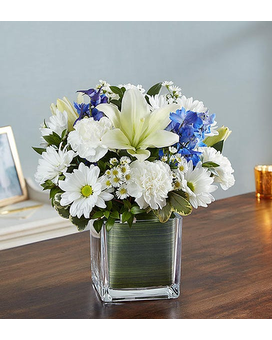 Blue and White size, inches height and inches wide.