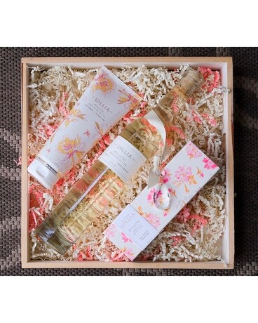 LoLLIA's Breath Gift Set size, inches height and inches wide.