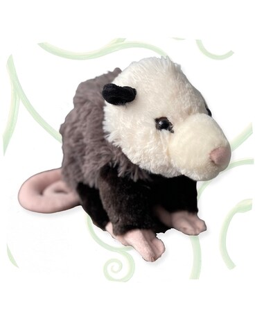 Opossum size, inches height and inches wide.