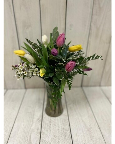 Mixed Colors size, inches height and inches wide.
