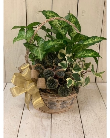 10 inch Basket size, inches height and inches wide.