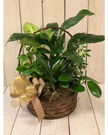 12 inch Basket size, inches height and inches wide.