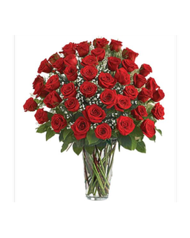 As Shown RED size, inches height and inches wide.