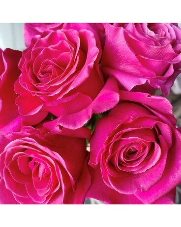 6 Hot Pink size, inches height and inches wide.