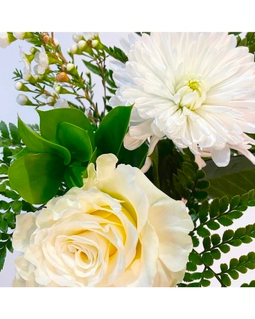 White + Neutrals size, inches height and inches wide.