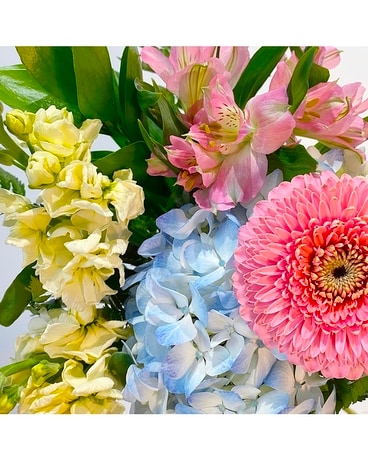 Soft + Pastel size, inches height and inches wide.