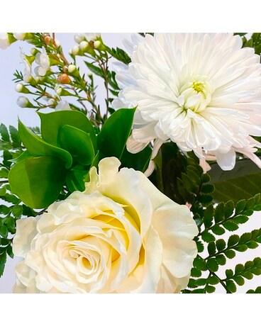 White + Neutrals size, inches height and inches wide.