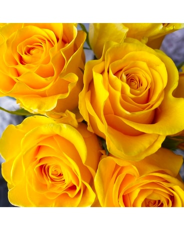 Yellow size, inches height and inches wide.