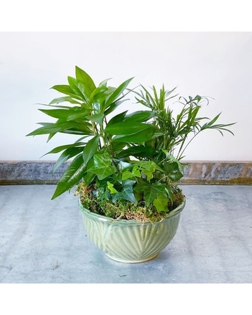 Standard size, 12 inches height and 8 inches wide.