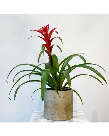 Standard size, 28 inches height and 33 inches wide.