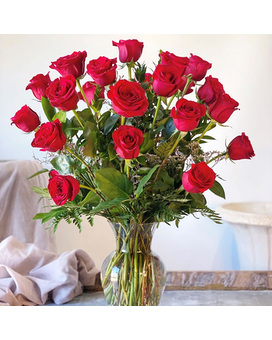 Standard- 24 red size, 24 inches height and 20 inches wide.