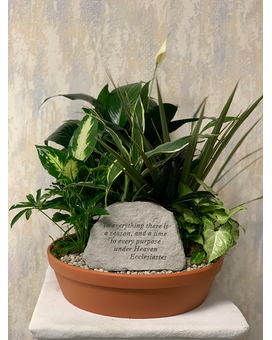 As Shown size, inches height and inches wide.