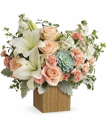 Premium size, 14 inches height and 15 1/4 inches wide.