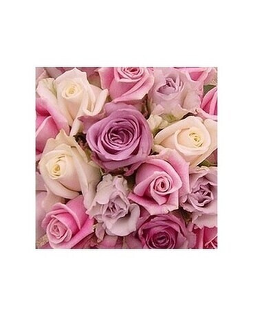 12 Wrapped size, inches height and inches wide.