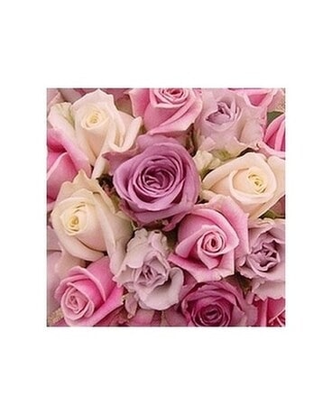 12 In A Vase size, inches height and inches wide.