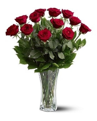 1 Dozen Red size, inches height and inches wide.