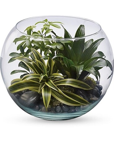 Long Rectangle Glass with Wood size, 10 inches height and 12 inches wide.